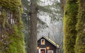 Sunwolf Riverside Cabins